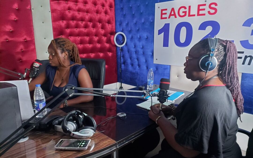 The many ways PSHAN and Its Programmes Connect with Nigerians in Healthcare Development on Eagles FM Abuja